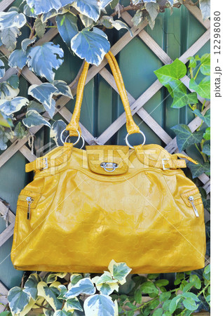 lady handbag lady handbag 12298080