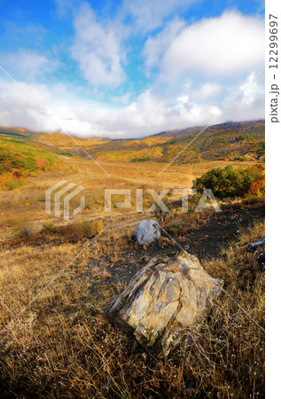 Autumn landscape 12299697
