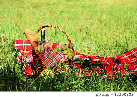 Picnic basket Picnic basket 12300803