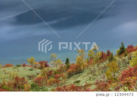 魔女の瞳２ 12304473