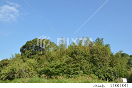 渋野丸山古墳 12305345