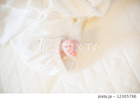 生後27日目 赤ちゃん 生後27日目 赤ちゃん 12305786