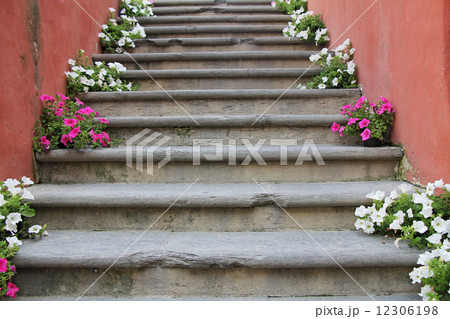 Flowers on stairs 12306198