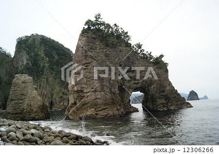 西伊豆　浮島海岸 12306266