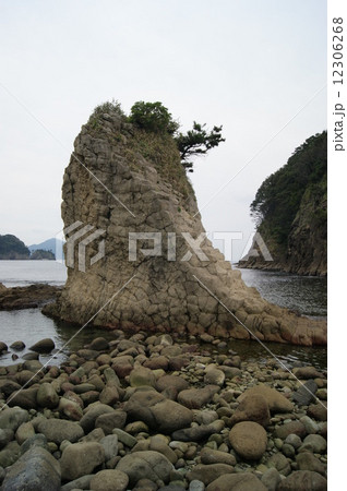西伊豆　浮島海岸 12306268