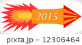 Happy New Year 2015 12306464