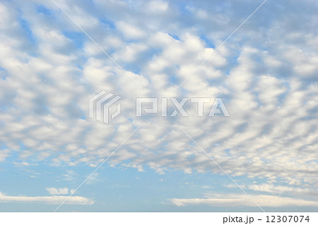 ひつじ雲 12307074