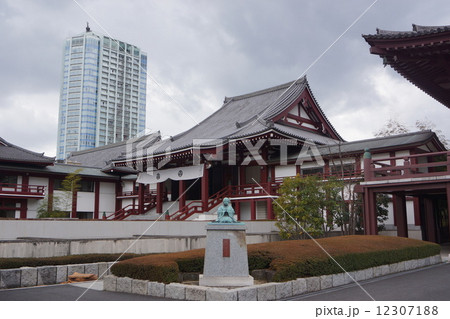 三縁山広度院　 増上寺　法然　光接殿 12307188