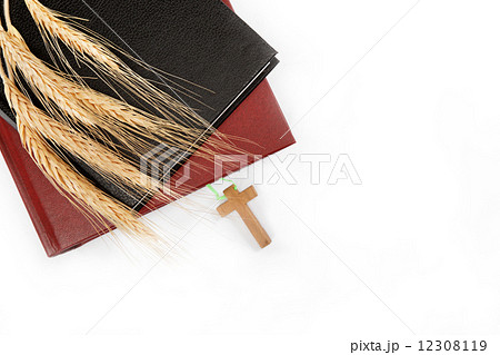 Two books / Holy Bible on white background. Two books / Holy Bible on white background. 12308119