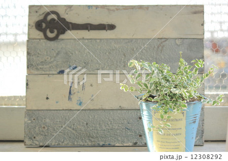 ガーデン雑貨 12308292