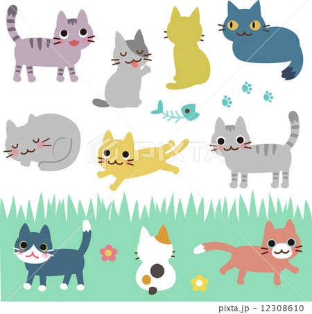 たくさんの猫 12308610