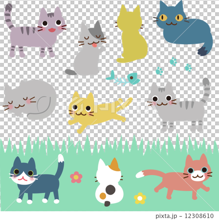 たくさんの猫 12308610
