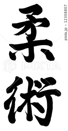 柔術 柔術 12308807