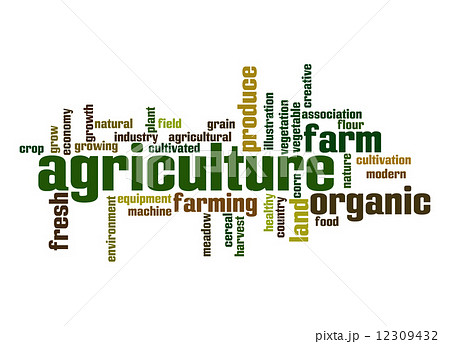 Agriculture word cloud Agriculture word cloud 12309432