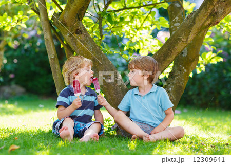 Two little sibling boys eating red ice cream in home's garden. 12309641