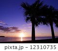 沖縄・ルート58　 12310735