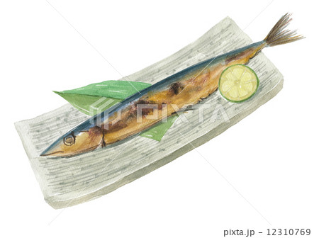 さんま塩焼き 12310769