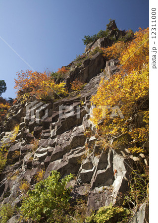 奥只見湖の柱状節理 12311000