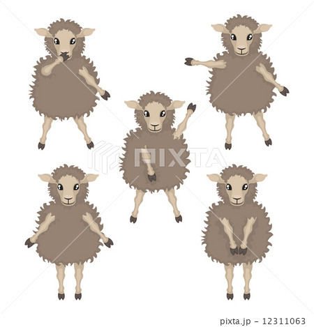 sheep in various poses 12311063