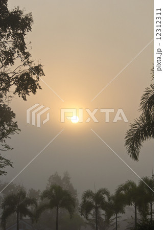 sunshine1 sunshine1 12312311