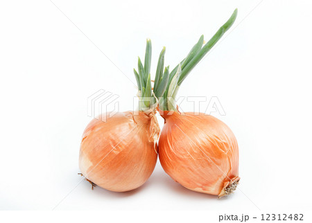 Fresh bulbs of onion on a white background 12312482