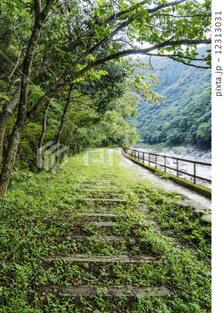 廃線　線路　イメージ素材　ハイキングコース 12313031