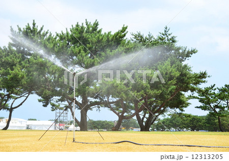 夏フェス♪ 12313205