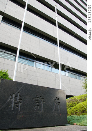 特許庁 12313239