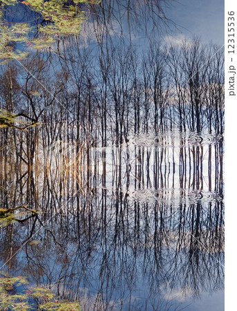 Miracle of reflection Miracle of reflection 12315536
