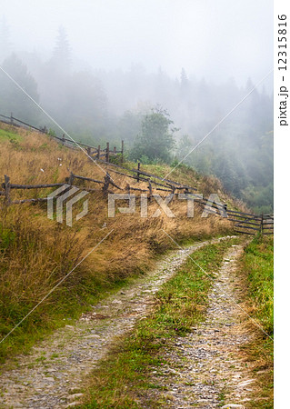 beautiful wooden house on a green hill 12315816