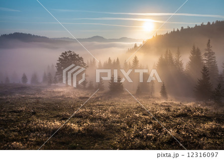 Majestic sunset in the mountains landscape. Carpathian, Ukraine Majestic sunset in the mountains landscape. Carpathian, Ukraine 12316097