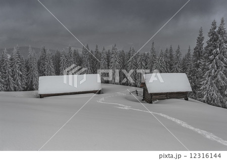 house house 12316144