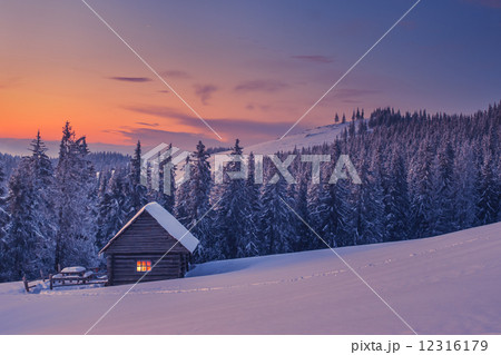 house house 12316179