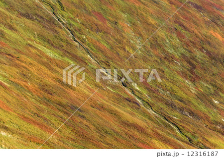 mountain 12316187