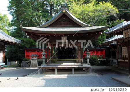 京都　三宅八幡宮　本殿 12316259