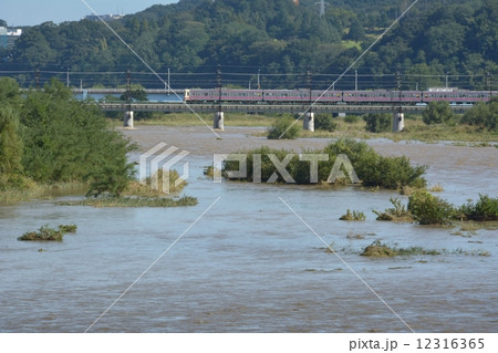 台風後、増水した川を渡る電車 台風後、増水した川を渡る電車 12316365