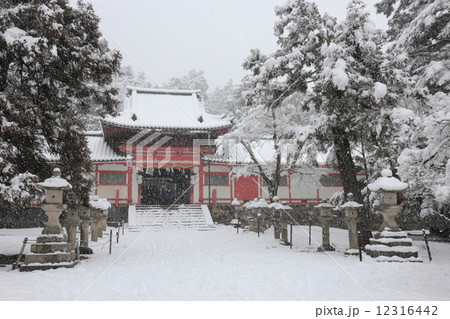 雪景色　手向山八幡宮 12316442