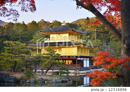 金閣寺　秋 12316896
