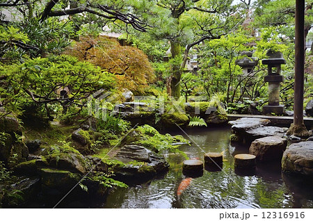 長町武家屋敷跡野村家 日本庭園の写真素材