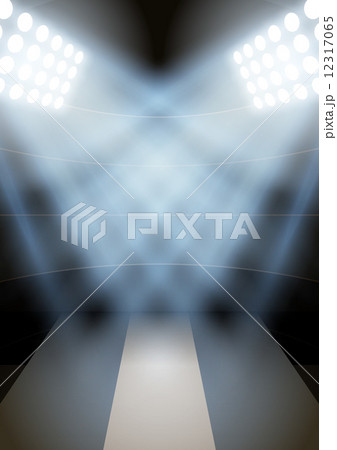 Background for posters night fencing stadium in the spotlight. Vector 12317065