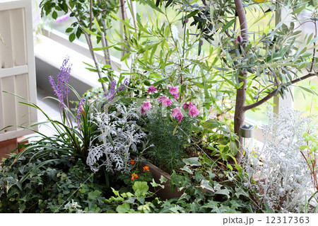 ガーデニング 12317363
