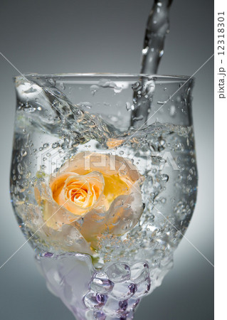 バラが入ったお洒落なワイングラスに水を注ぐの写真素材
