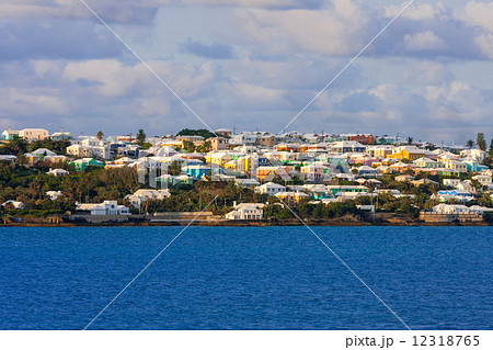 バミューダ島 バミューダ島 12318765