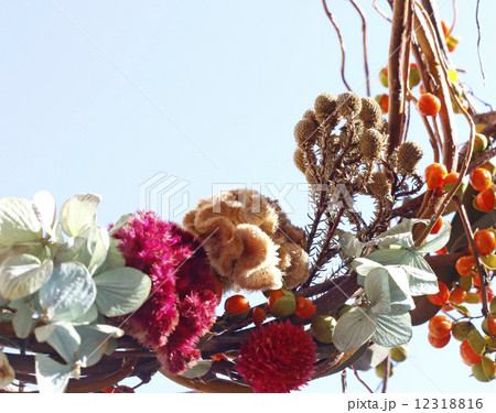 秋 植物 花 自然 リース ケイトウ 木の実 青空 コピースペース 飾り フラワーアレンジメン の写真素材