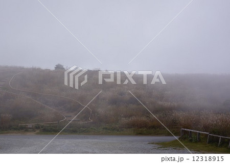 霧の高ボッチ高原 12318915