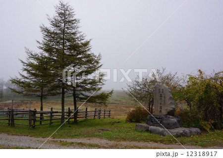 霧の高ボッチ高原 12318917