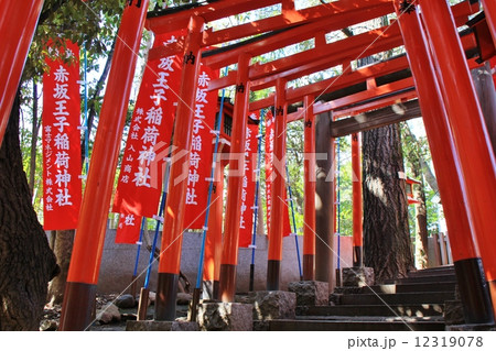 乃木神社の鳥居 12319078