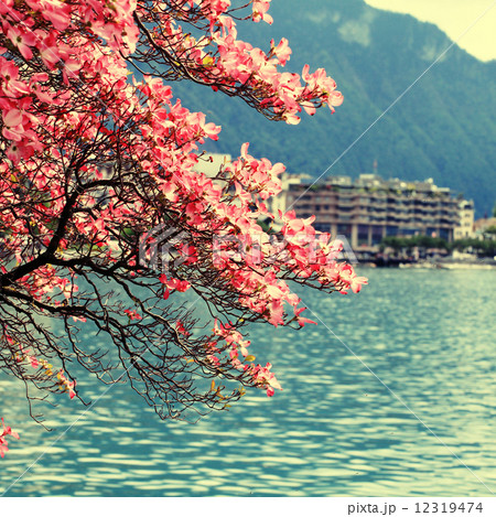 Montreux and  Lake Geneva, Switzerland. 12319474