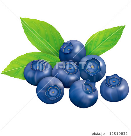 ブルーベリーのイラスト素材