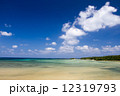 沖縄西表島の海1 12319793
